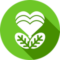 Honest Nutrition