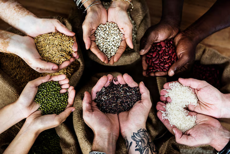 Seed Selection